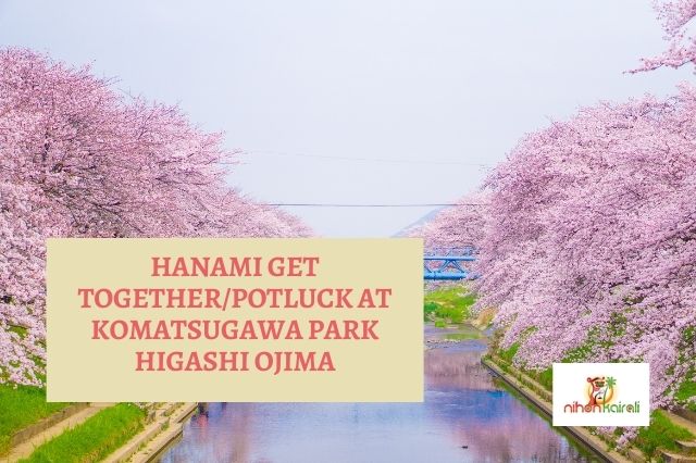 2022 - Hanami get together/potluck at Komatsugawa Park Higashi Ojima